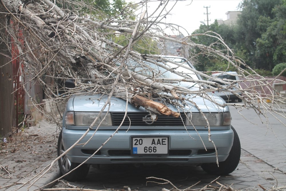 Denizli'de park halindeki otomobilin üzerine ağaç devrildi