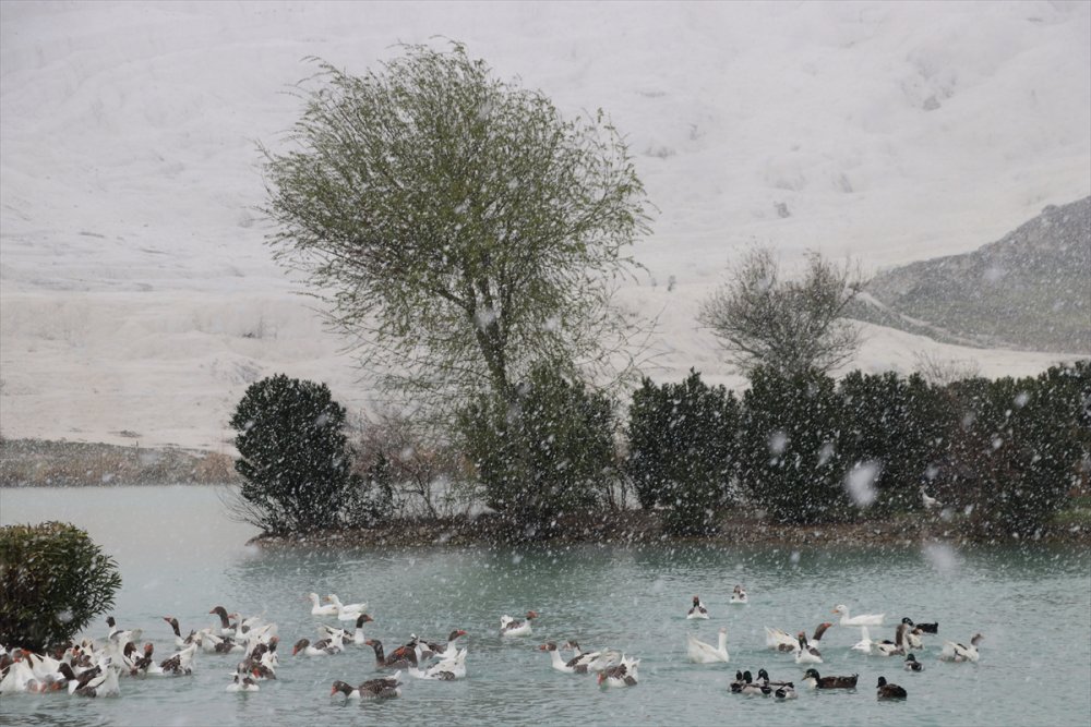 Pamukkale'de Turistler Kar Yağarken Antik Havuzun Keyfini Çıkardı