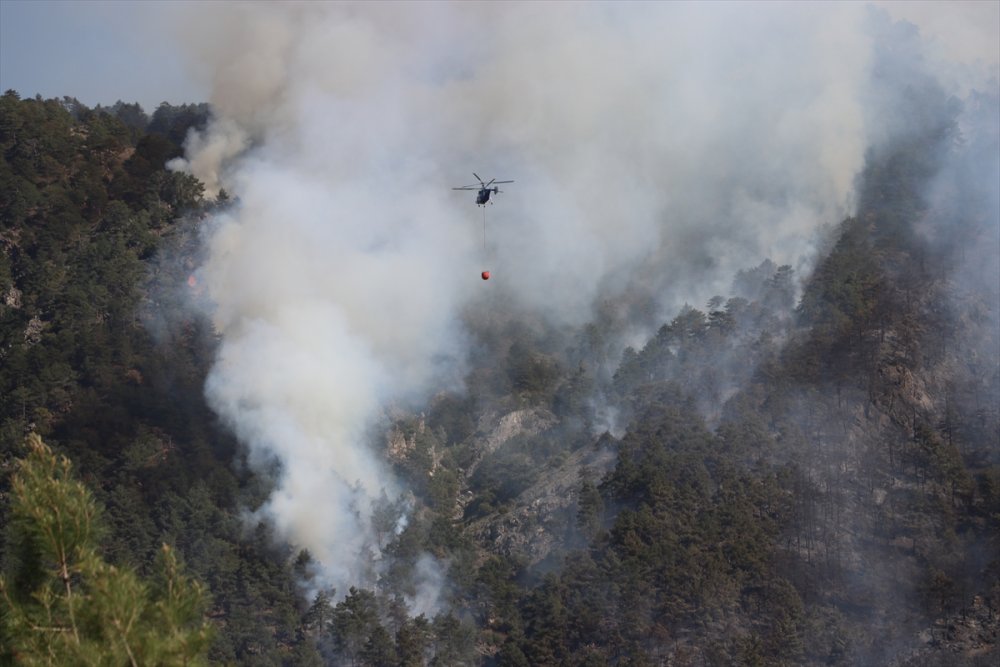 Denizli'de Orman Yangınıyla İlgili 2 Kişi Gözaltına Alındı