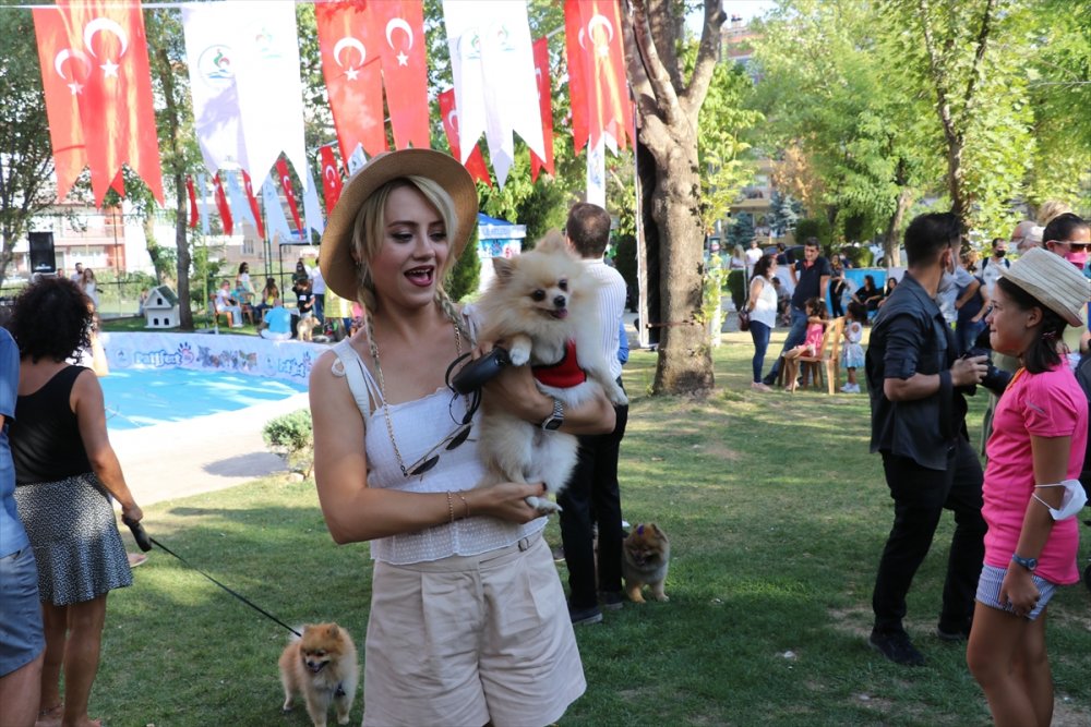 Denizli'nin Pamukkale ilçesinde Denizli Pati Festivali yapıldı. Sokak hayvanlarının tedavisine ve mama ihtiyacına destek olmak amacıyla düzenlenen etkinlikte köpekler ilginç kostümleriyle dikkati çekti.
