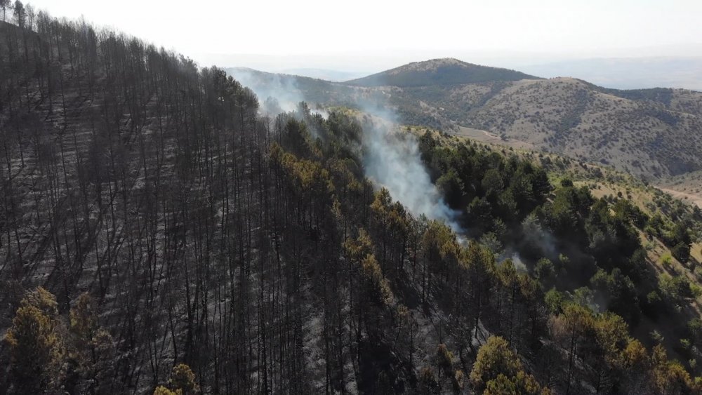 Kırıkkale’de orman yangını: 10 dönümlük alan küle döndü