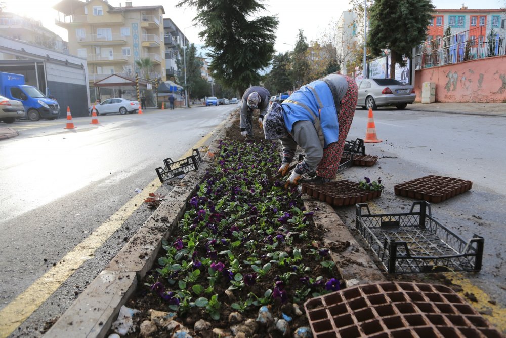Pamukkale Belediyesi Süs Bitkilerini Kendi Yetiştiriyor