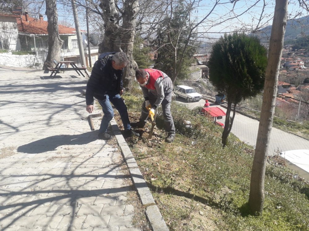 Buldan Belediyesi’nin ağaçlandırma çalışmaları devam ediyor