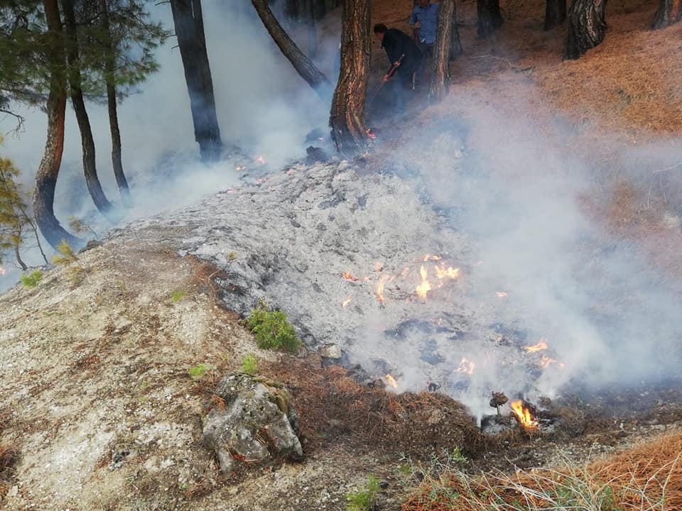 Denizli'de Yıldırım Düşmesi Sonucu 4 Ormanlık Alanda Yangın Çıktı