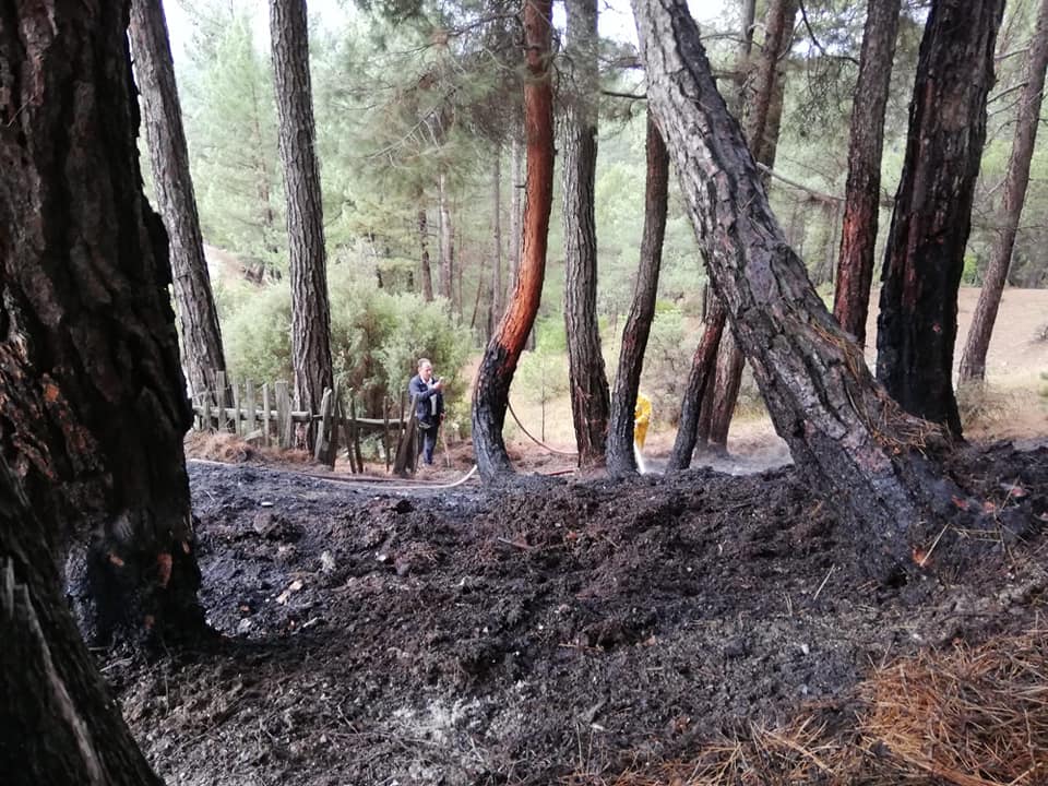 Denizli'de Yıldırım Düşmesi Sonucu 4 Ormanlık Alanda Yangın Çıktı