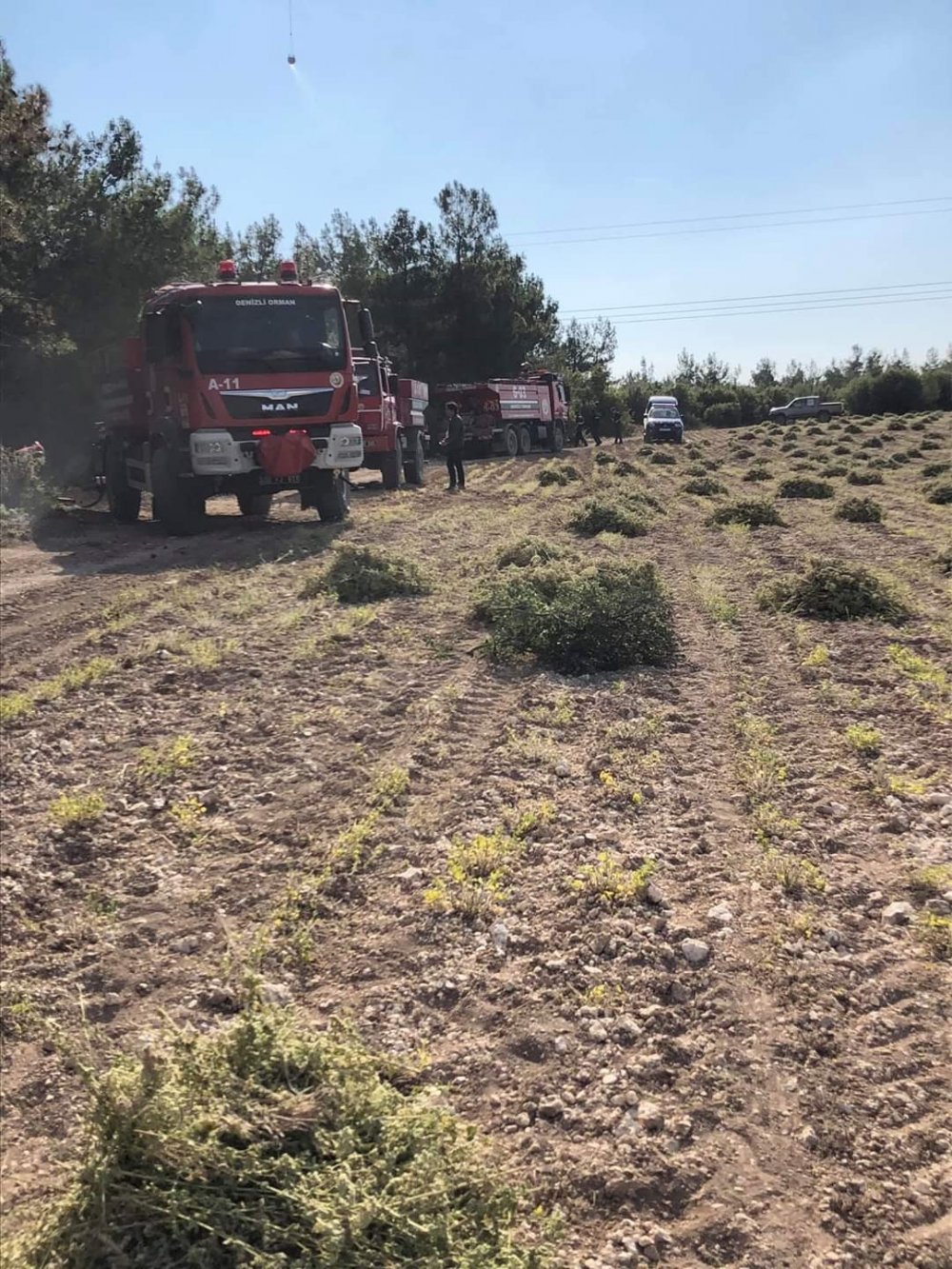 Denizli'de orman yangınında 6 hektar alan zarar gördü