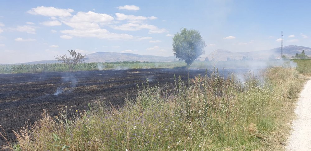 Denizli'de ekin tarlasındaki yangına işçiler müdahale etti