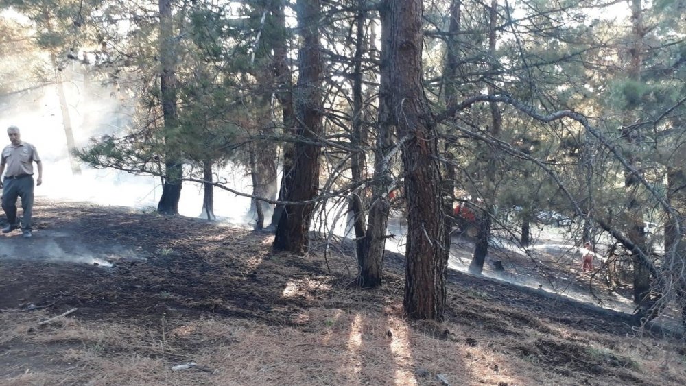 Hızla kontrol altına alınan orman yangınında 2 dekarlık alan zarar gördü