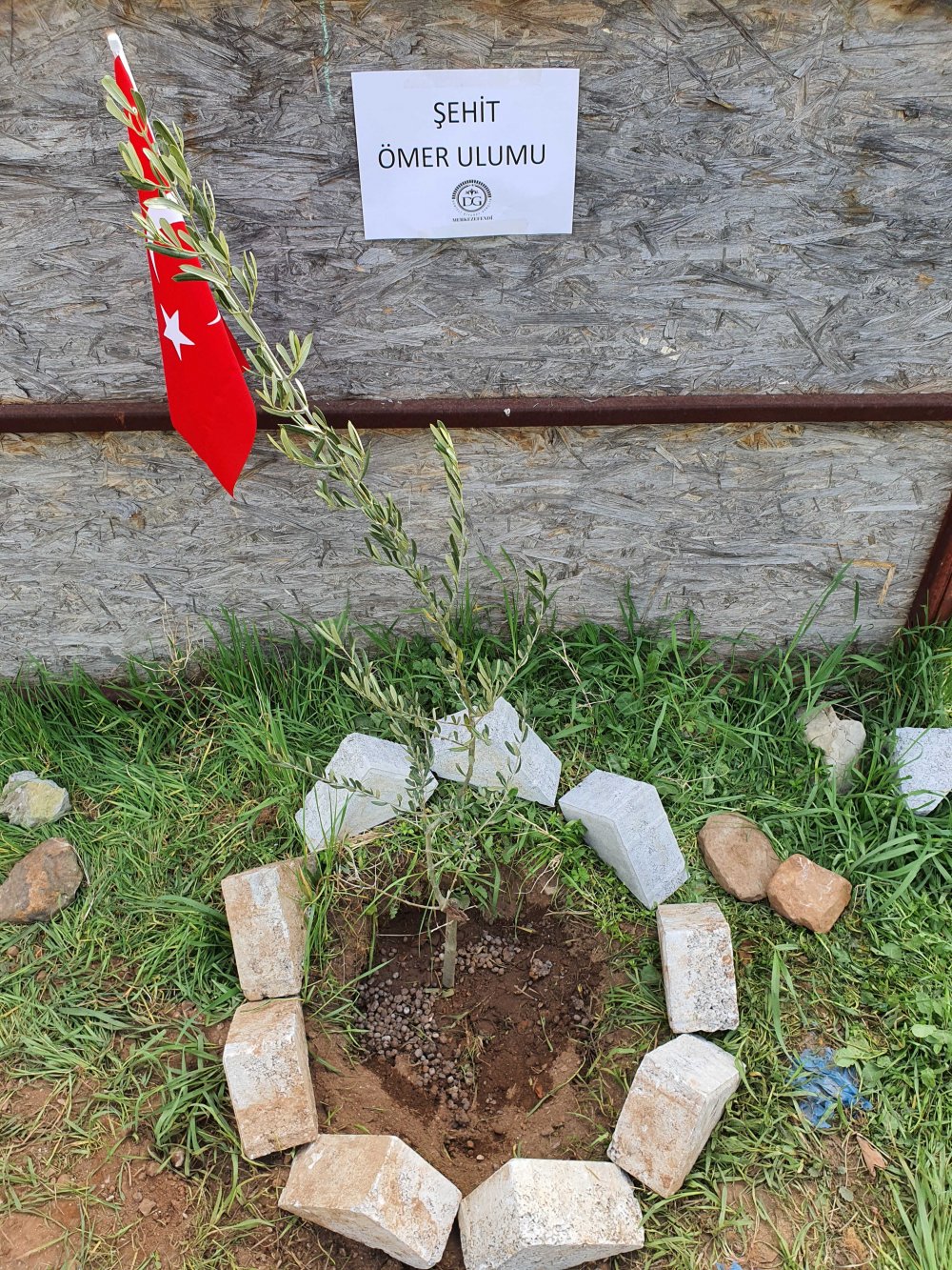 Bitlis şehitleri anısına fidan dikildi