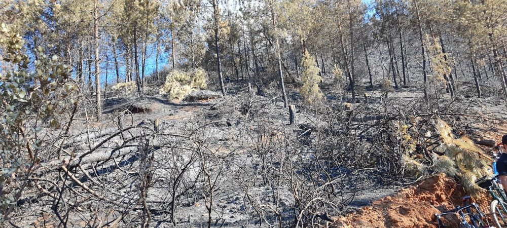 Denizli’de bisiklet tutkunları orman yangınlarına karşı farkındalık oluşturmak için yanan ormanları gezdi. Orman Bölge Müdürlüğü ekipleri yaptıkları bilgilendirmede vatandaşları aşırı sıcaklarda yangınların daha kolay oluştuğu konusunda uyardı.