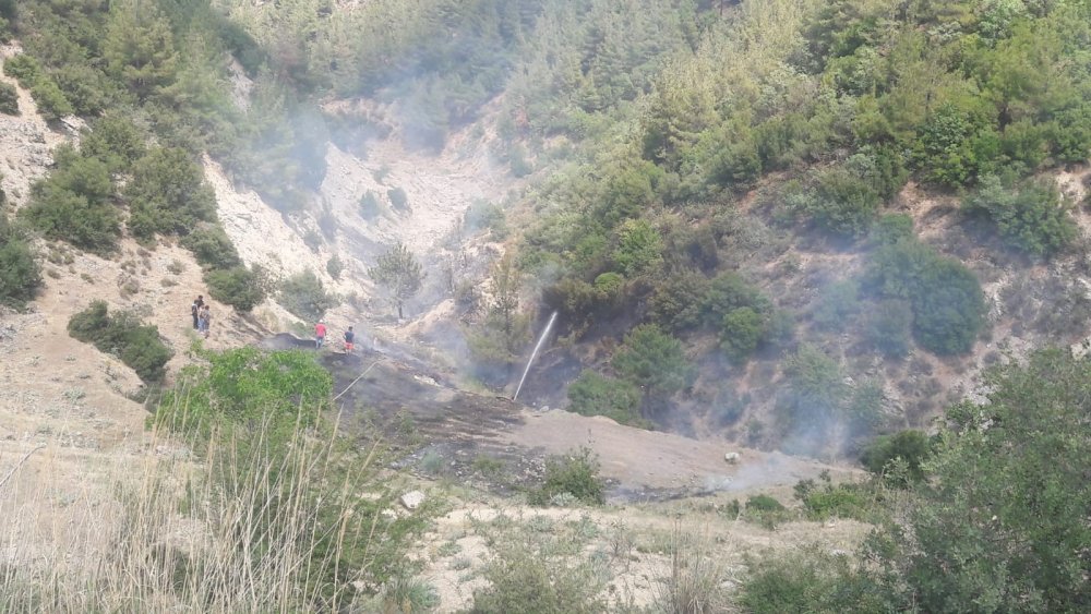 Orman yangını vatandaşların desteğiyle kısa sürede söndürüldü