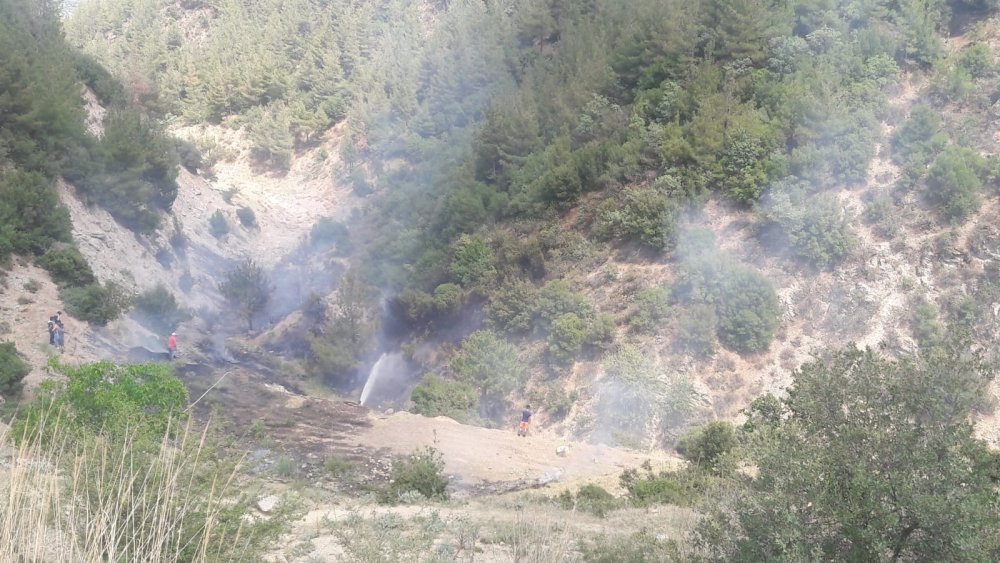 Orman yangını vatandaşların desteğiyle kısa sürede söndürüldü