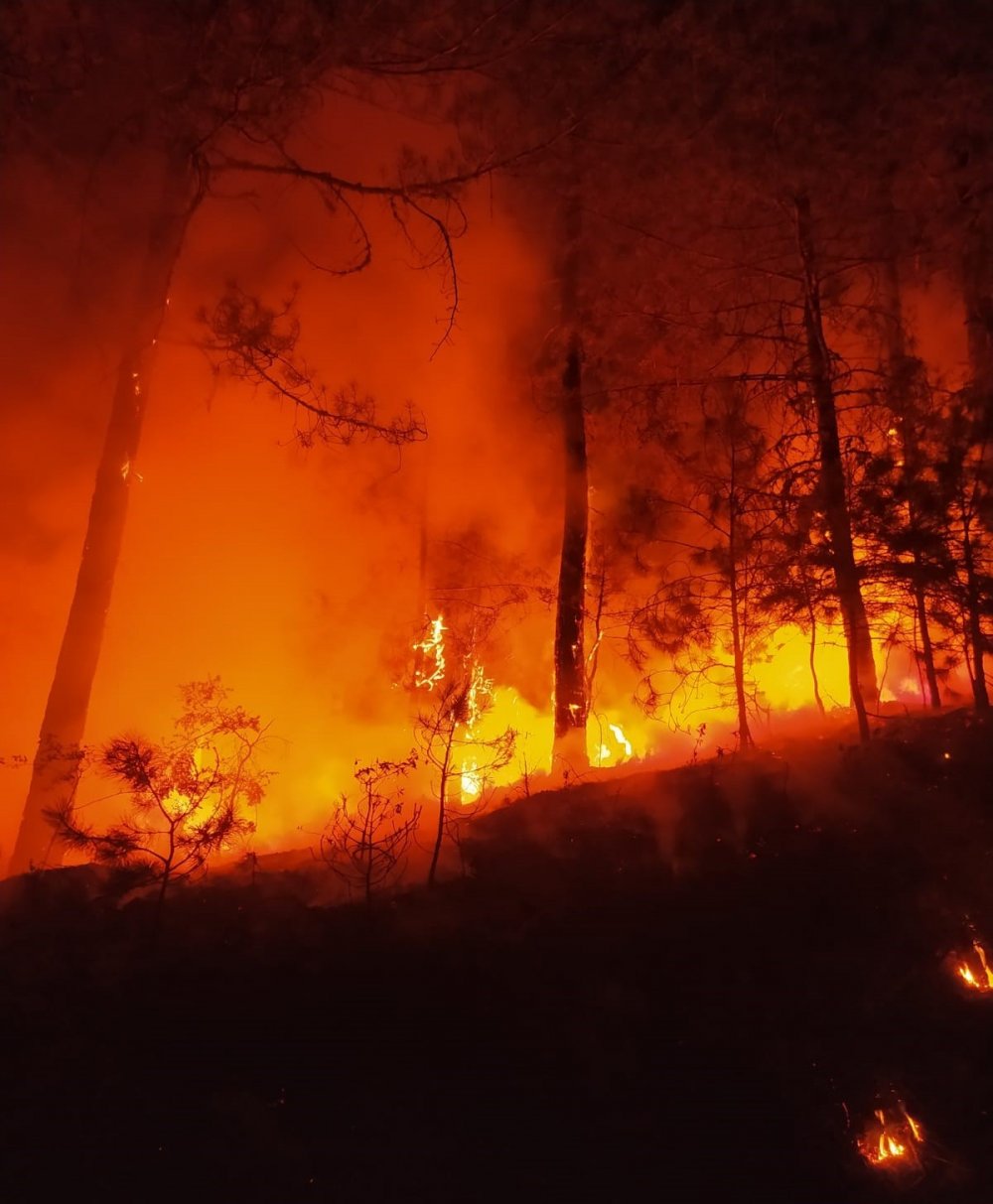 Ormanlık alandaki yangın paniğe neden oldu