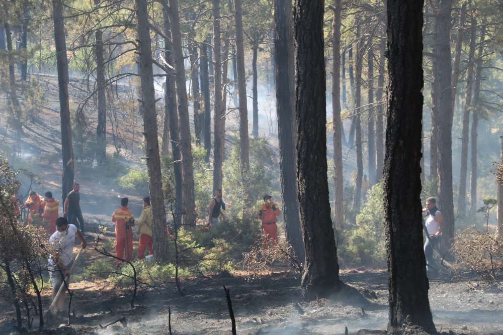 Vatandaşların Kazma Küreklerle Koştuğu Orman Yangını Söndürüldü