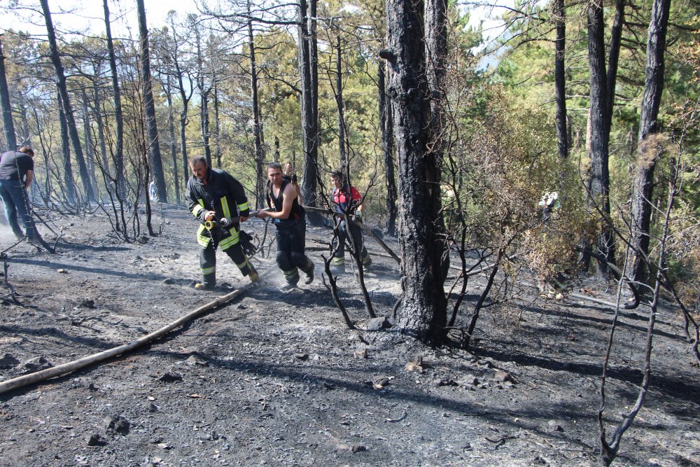 Vatandaşların Kazma Küreklerle Koştuğu Orman Yangını Söndürüldü
