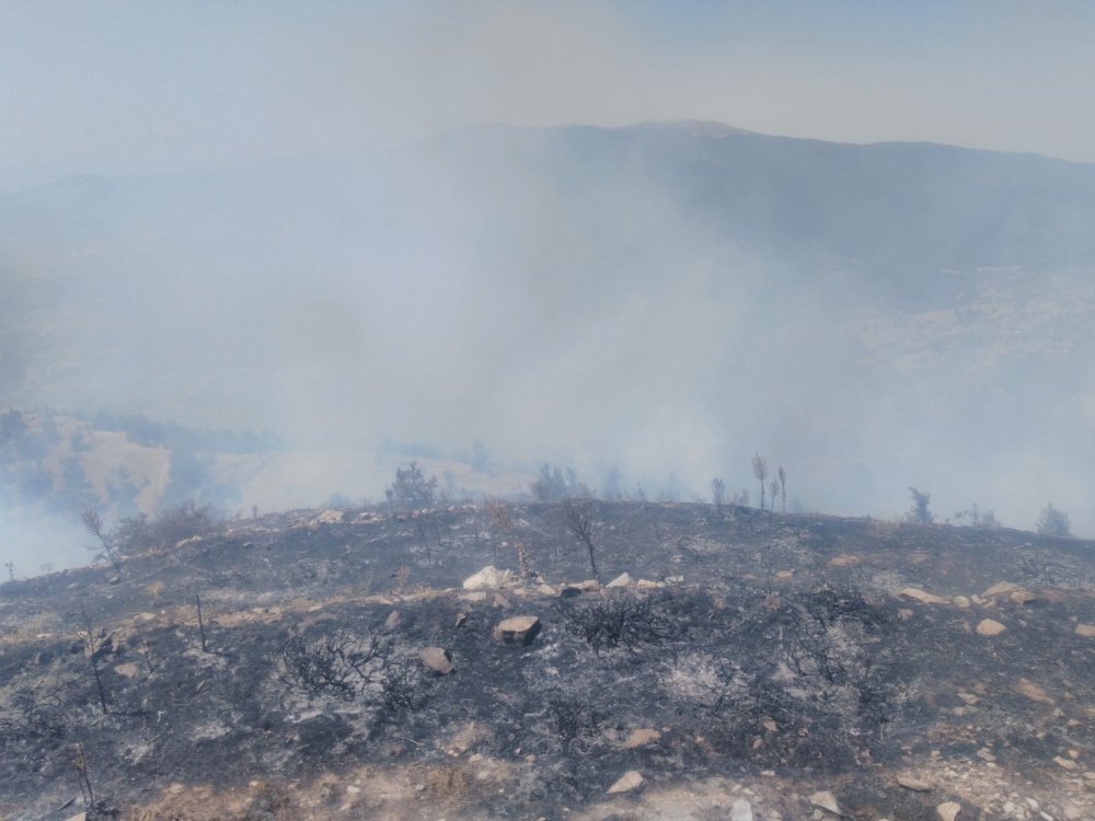 Buldan'daki 2. orman yangını da söndürüldü