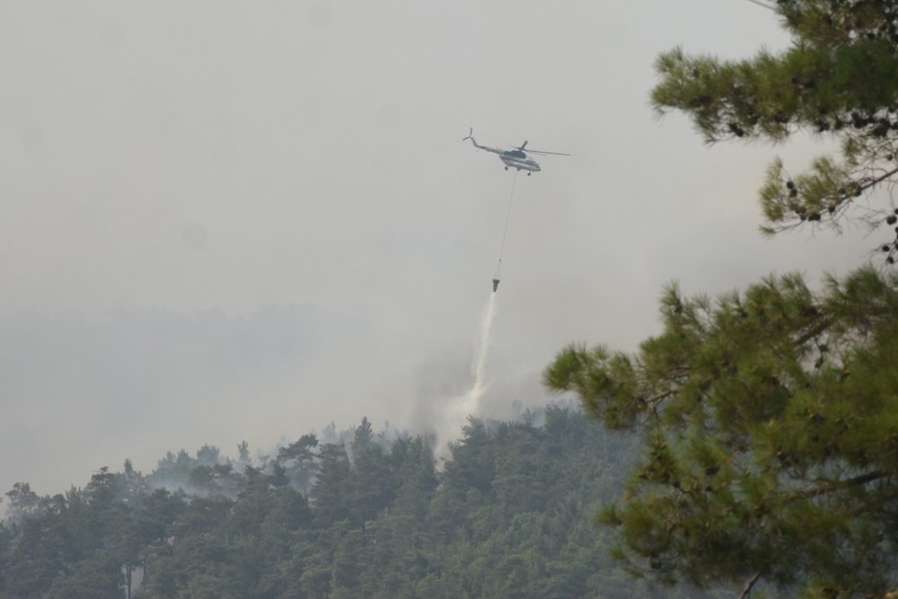 Denizli'nin Köyceğiz sınırına yakın alanda orman yangını başladı