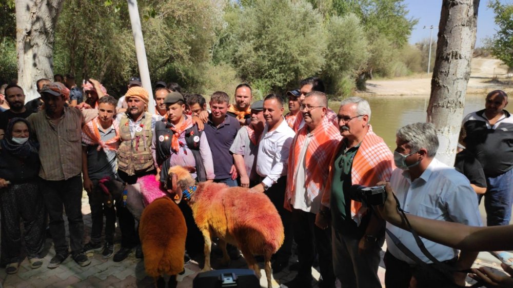 Sudan Koyun Geçirme Yarışında Ödüller Sahiplerini Buldu