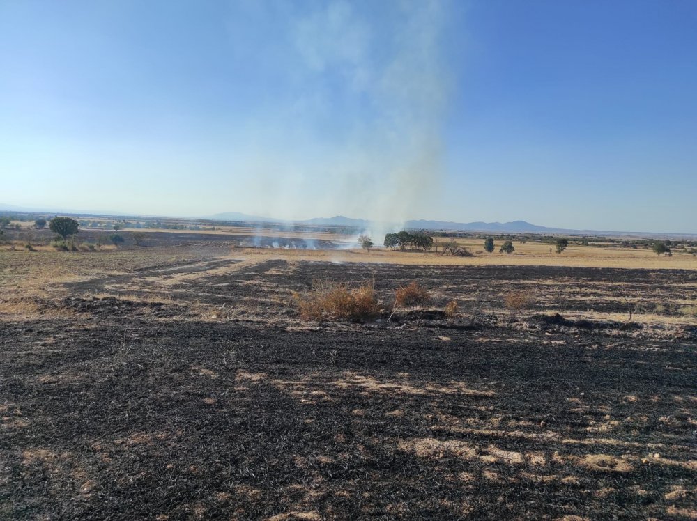 Denizli’nin Bekilli ilçesinde boş tarım arazisinde çıkan anız yangın sonucu, 50 dekar alan küle döndü.