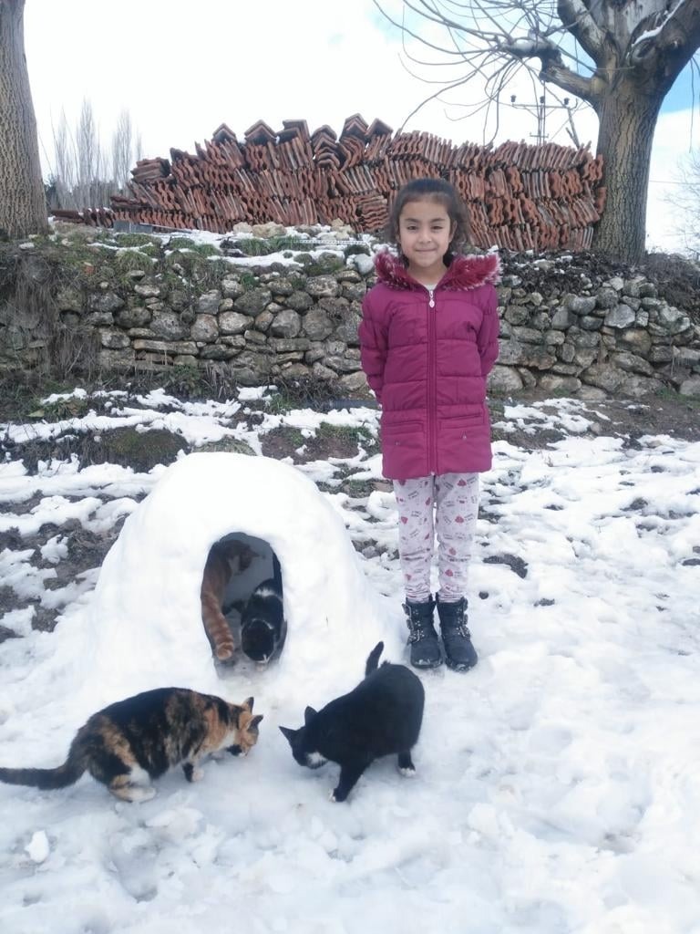 Sokaktaki Kediler İçin Kardan Ev Yaptılar