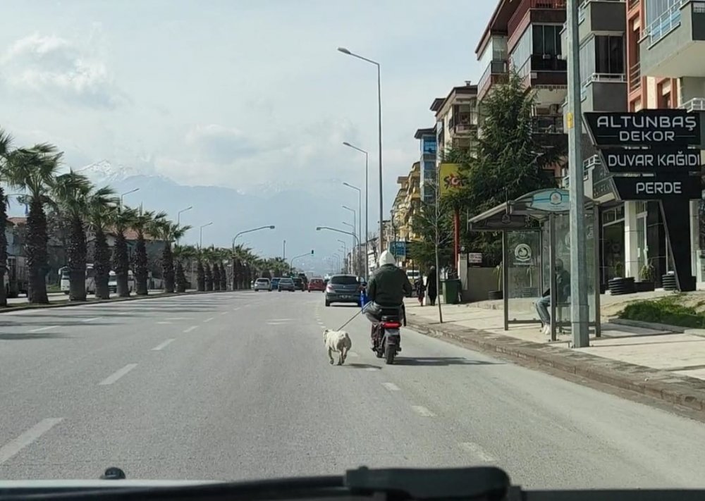 Yasaklı Irk Köpeğini Elektrikli Motosikletine İple Bağlayıp Sürükleyen Sürücüden İlginç Savunma