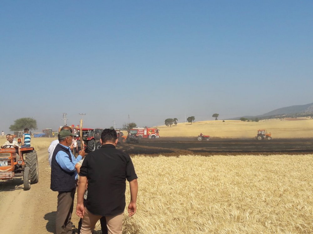 Denizli'nin Tavas ilçesinde 10 dekarlık ekili arazide yangın çıktı. Mahalleli yangına hep birlikte traktörlerle müdahale etti.