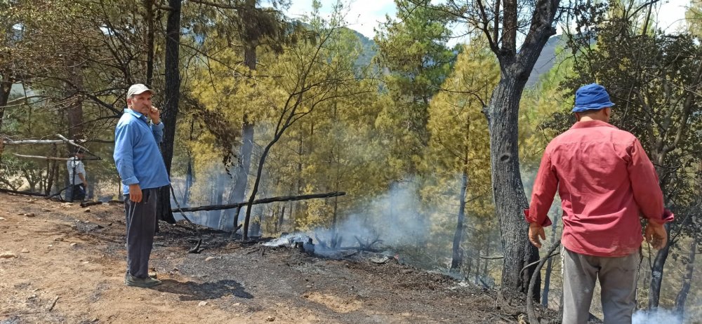 Denizli'nin Acıpayam İlçesi'nde meydana gelen orman yangını ekiplerin müdahalesiyle söndürüldü.