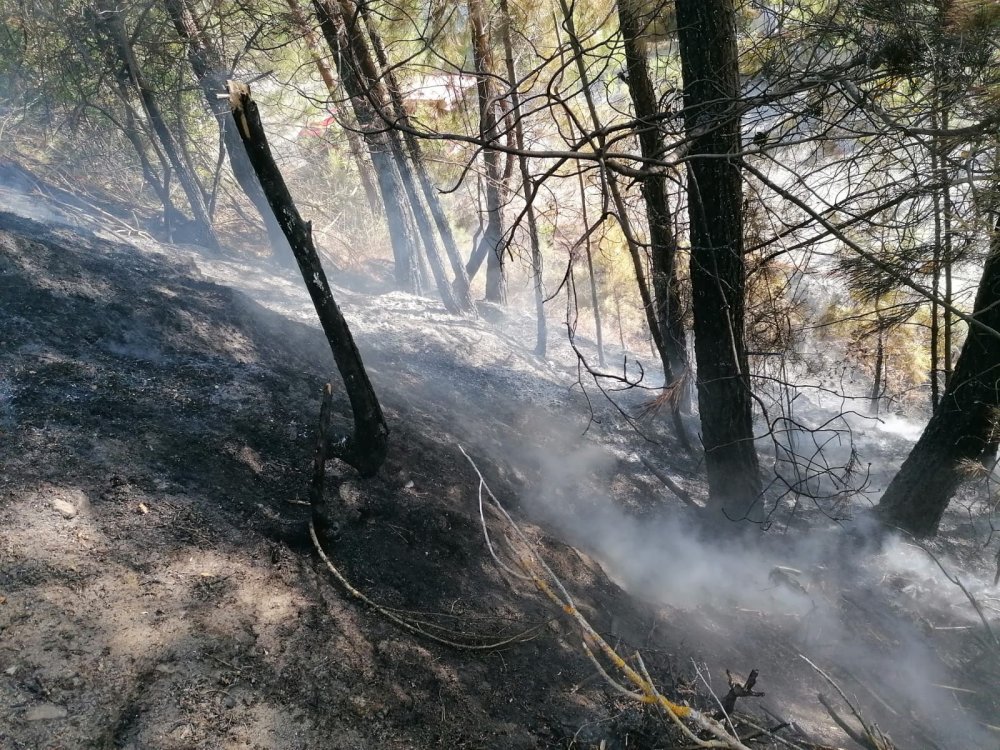 Denizli'nin Çameli İlçesi'nde meydana gelen orman yangını kısa sürede söndürüldü.