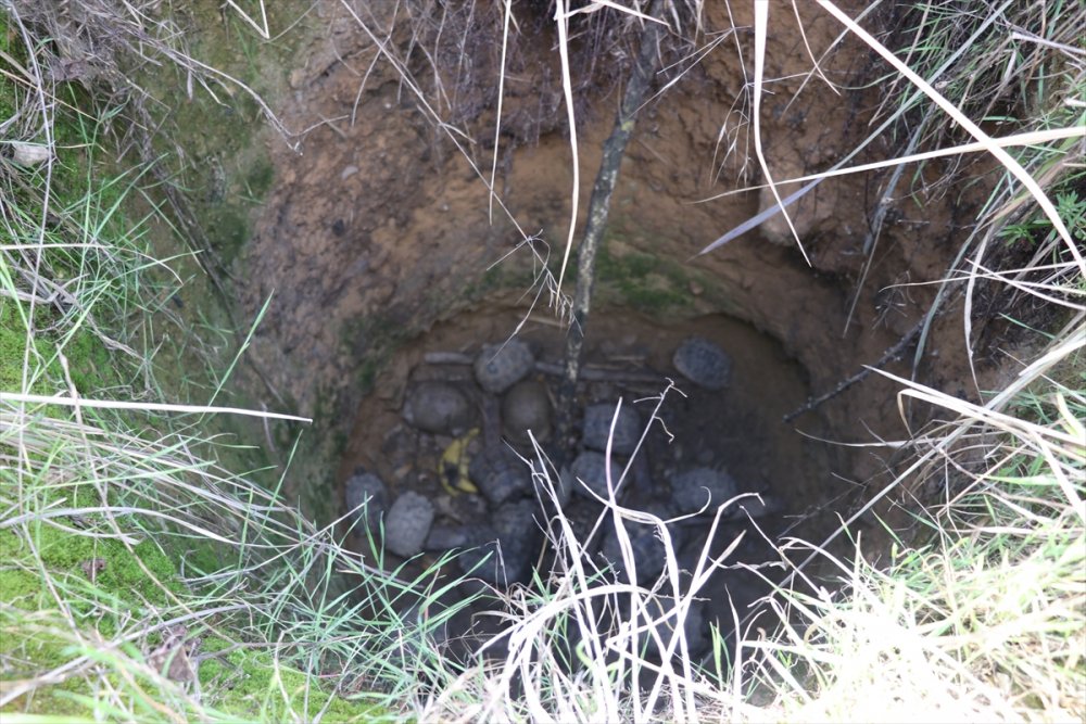 Kuyuda Mahsur Kalan 17 Kaplumbağayı İtfaiye Kurtardı