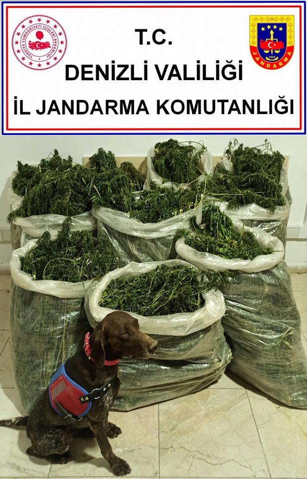 Denizli'de Jandarma'dan Uyuşturucu Baskını!